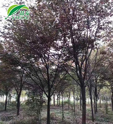 現(xiàn)場工程圖片