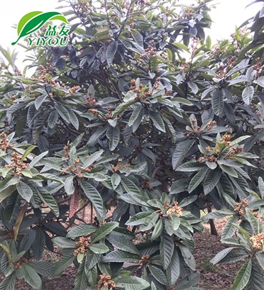 現(xiàn)場工程圖片